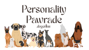 Welcher Hund bin ich?